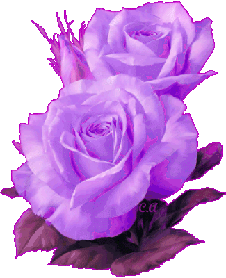 la fleur,le sentiment de la vie